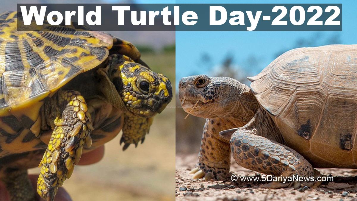 World Turtle Day2022