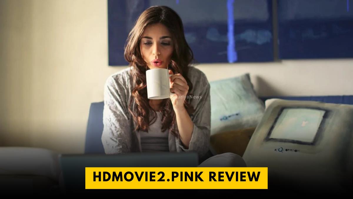 HDmovie2.pink Review
