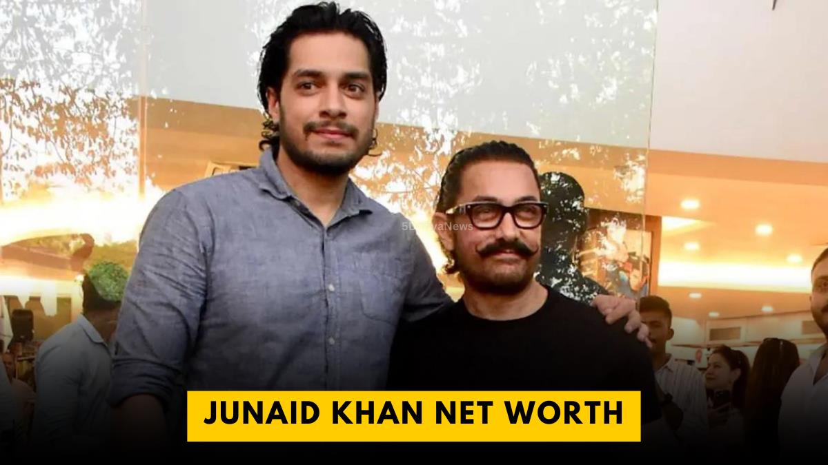Junaid Khan Net Worth