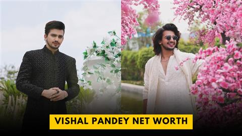 Vishal Pandey Net Worth