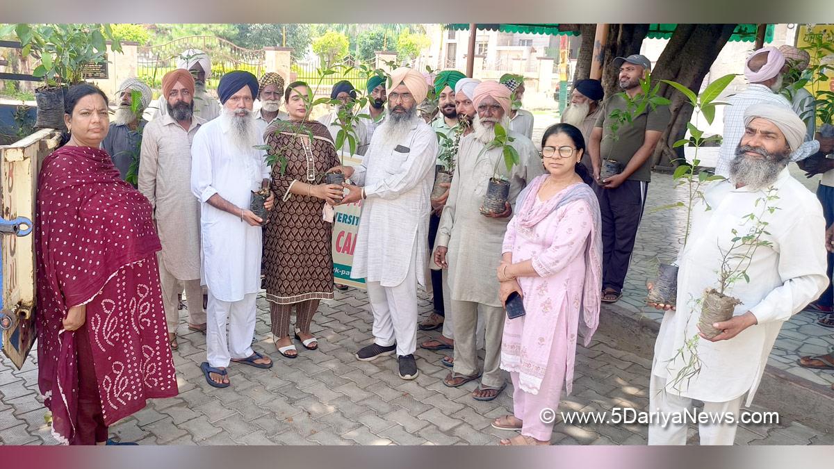 Tree Plantation, Forest Plantation, Plantation forestry, Tree Planting, Tree Plantation Drive, Plants Sapling, Tree Plantation Drive 2024, Krishi Vigyan Kendra, Patiala 