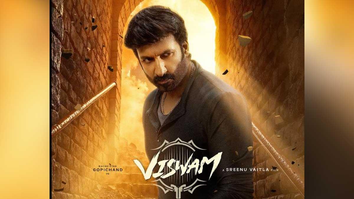 Viswam Full Movie Review, Rating, Story And Cast