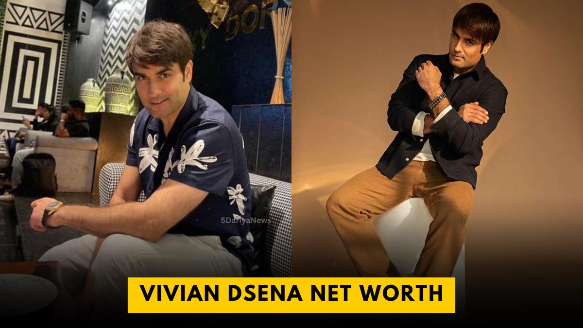 Vivian Dsena Net Worth