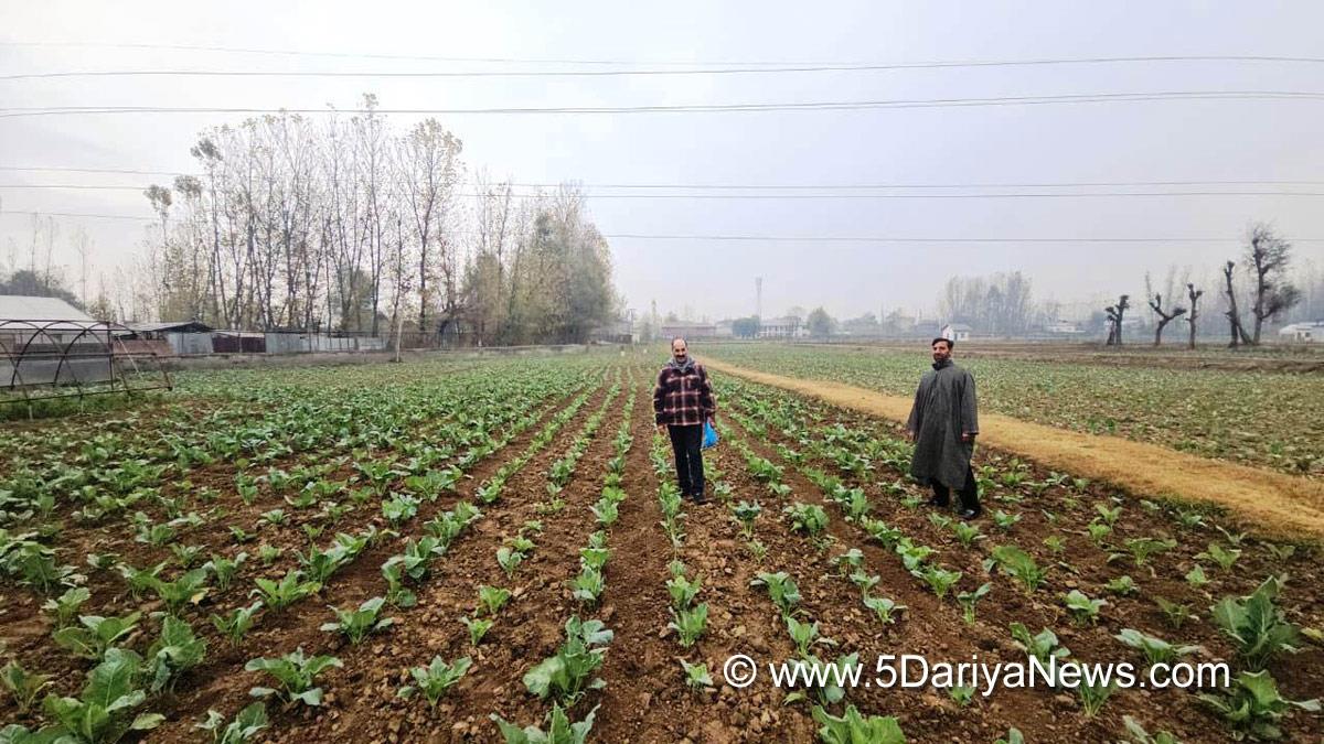 Chowdhary Mohammad Iqbal, Agriculture, Director Agriculture Kashmir, Srinagar, Kashmir, Jammu And Kashmir, Jammu & Kashmir, Kashmir Valley